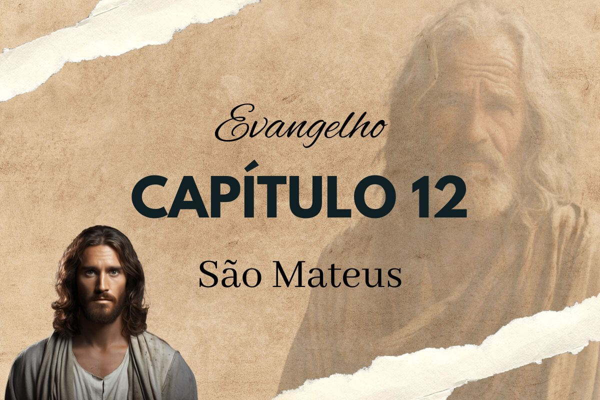 Evangelho São Mateus Capítulo 12