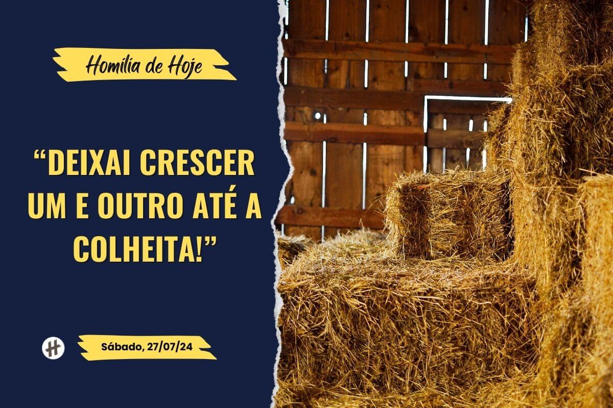 Homilia de hoje - Deixai crescer um e outro até a colheita!