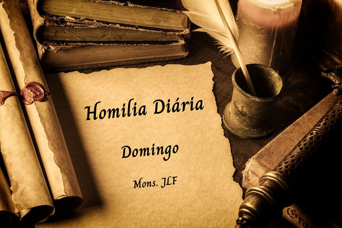 Homilia diária Domingo JLF